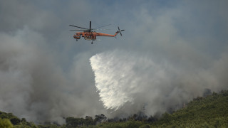 Φωτιά στην Τροιζηνία: Μεγάλη κινητοποίηση της Πυροσβεστικής
