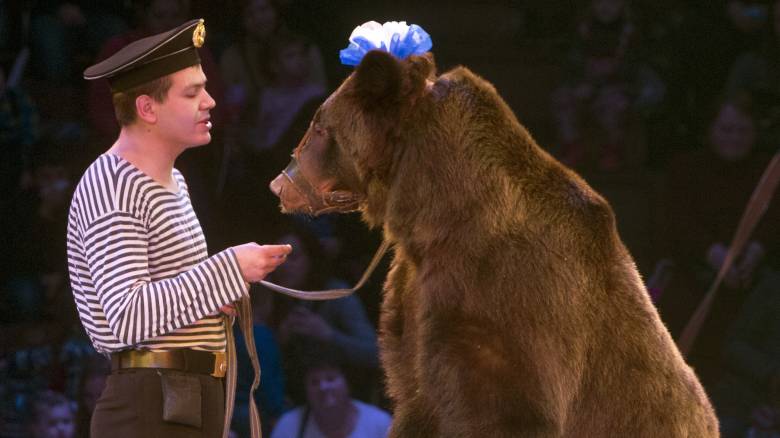 Αρκούδα επιτίθεται στον θηριοδαμαστή της μπροστά στο έντρομο κοινό του τσίρκου