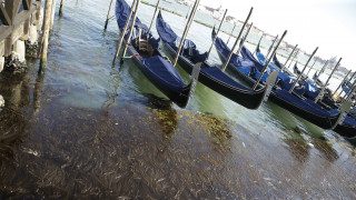 Βενετία: Οι γονδολιέρηδες έγιναν δύτες για να καθαρίσουν το βυθό της πόλης