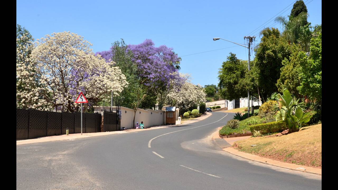 Herbert Baker Street, Πρετόρια, Νότια Αφρική.Τα δέντρα στους δρόμους της πρωτεύουσας της Νότιας Αφρικής, ανθίζουν με πανέμορφα μοβ λουλούδια από το Σεπτέμβριο ως το Νοέμβριο.