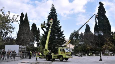 Σε Χριστουγεννιάτικους ρυθμούς η Αθήνα: Οι πρώτες εικόνες από το δέντρο στο Σύνταγμα