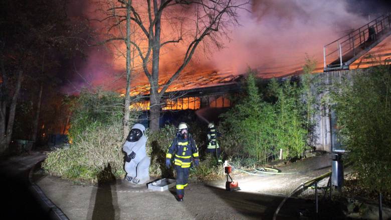 Γερμανία: Ιπτάμενα φαναράκια η αιτία της φωτιάς στον ζωολογικό κήπο όπου κάηκαν δεκάδες ζώα