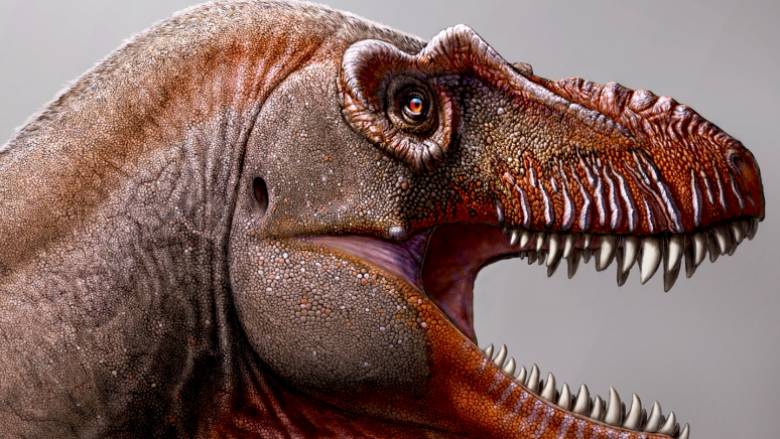 Θανατοθεριστής: Ανακαλύφθηκε νέο είδος τυραννόσαυρου στον Καναδά