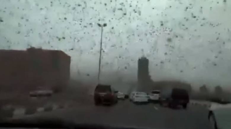 Επιδρομή… ακρίδων στο Μπαχρέιν - «Μαύρισε» ο ουρανός