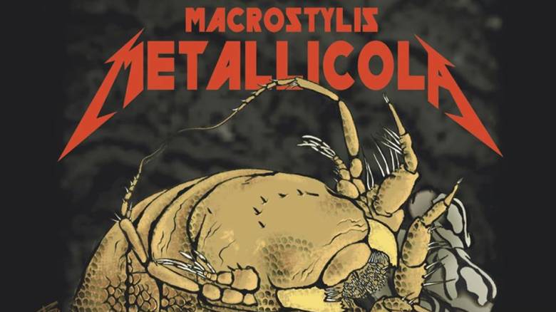 Ανακαλύφθηκε το πιο… metal οστρακόδερμο: Ονομάζεται Metallica και εντυπωσιάζει!
