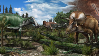 Πιο μικρή η ημέρα στο τέλος της εποχής των δεινοσαύρων, λένε οι επιστήμονες