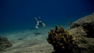 Κορωνοϊός: Απαγόρευση κολύμβησης και υποβρύχιας αλιείας από το υπ. Ναυτιλίας