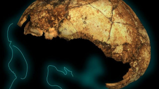 Ανακαλύφθηκε το αρχαιότερο στον κόσμο κρανίο του Homo Erectus