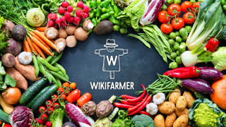 Wikifarmer: Ο «Έλληνας αγρότης» που κατακτά τον κόσμο φέρνει τα προϊόντα του στην πόρτα σου