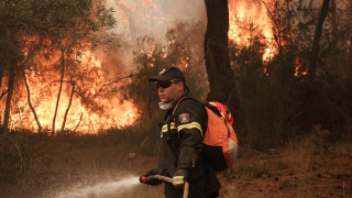 Μεγάλη πυρκαγιά σε δάσος στη Ροδόπη
