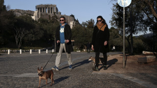 Δήμος Αθηναίων: Δωρεάν τοποθέτηση microchip σε όλους τους σκύλους και τις γάτες