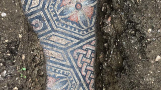 Ιταλία: Άριστα διατηρημένο αρχαίο ρωμαϊκό μωσαϊκό ανακαλύφθηκε σε αμπελώνα