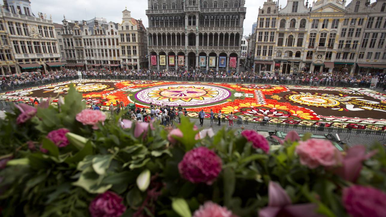 Ο Τάπητας Λουλουδιών στις Βρυξέλλες σε ένα εκπληκτικό time-lapse βίντεο