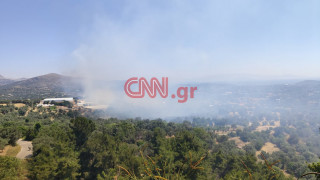 Φωτιά στη Χίο - Σε ετοιμότητα για εκκένωση οικισμών