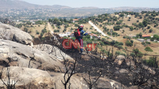 Συναγερμός στην Πυροσβεστική: Φωτιά σε δασική έκταση στα Σπάτα