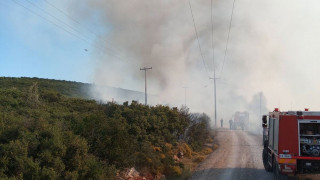 Φωτιά στον Ασπρόπυργο: Ισχυρές πυροσβεστικές δυνάμεις στο σημείο