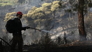 Φωτιά στο Πεταλίδι Μεσσηνίας - Εκκενώθηκε ο οικισμός Μαθία
