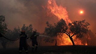 Φωτιά στην Κορινθία: Εκκενώθηκε τέταρτος οικισμός - Ενισχύονται οι δυνάμεις