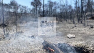 Αυτοψία CNN Greece στις Κεχριές: Στάχτη χιλιάδες στρέμματα γης 