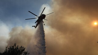 Μαίνεται η φωτιά στην Επίδαυρο - Ενισχύονται οι δυνάμεις της Πυροσβεστικής