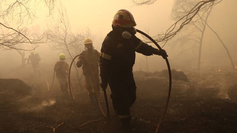 Υπό μερικό έλεγχο η φωτιά στην Επίδαυρο - 48 δασικές πυρκαγιές το τελευταίο 24ωρο