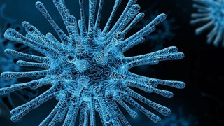 Νέα έρευνα: Παλαιότερο κρυολόγημα λόγω άλλων κορωνοϊών προστατεύει από COVID - 19