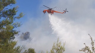 Φωτιά στην Κύπρο: Πυρκαγιά με μέτωπο 20 χιλιομέτρων 