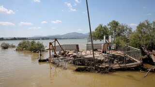 Πλημμύρες Εύβοια: Τα αίτια που οδήγησαν στην τραγωδία - Νέα στοιχεία για τα θύματα