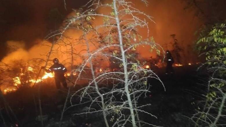 Φωτιά Κέρκυρα: Ολονύχτια μάχη με τις φλόγες - Εκατοντάδες στρέμματα δάσους καταστράφηκαν