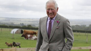 Ο πρίγκιπας Κάρολος αφήνει το βιολογικό του αγρόκτημα εν όψει υψηλοτέρων καθηκόντων