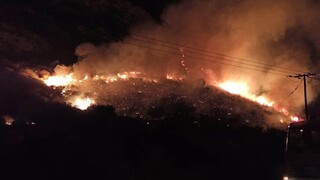 Συναγερμός στην Πυροσβεστική: Μεγάλη φωτιά στη Φωκίδα 