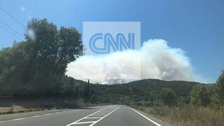 Φωτιά στη Μάνη: Ενισχύθηκαν οι δυνάμεις - Εκκενώθηκαν πέντε οικισμοί 