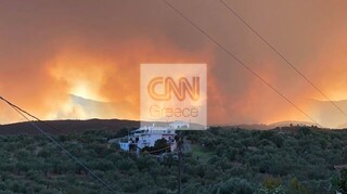 Φωτιά στη Μάνη: Ολονύχτια η μάχη με τις φλόγες - Καλύτερη η εικόνα σήμερα