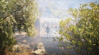 Μαίνεται η φωτιά στις Μυκήνες - Ενισχύθηκαν οι πυροσβεστικές δυνάμεις