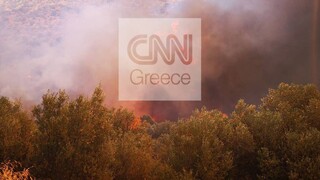 Φωτιά Μυκήνες – Ραγκούσης: Εγείρονται ερωτήματα ως προς το μέγεθος της καταστροφής
