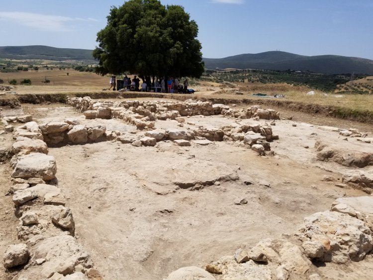 O αρχαιολογικός χώρος στο Αρχαίο Ελαιώνα