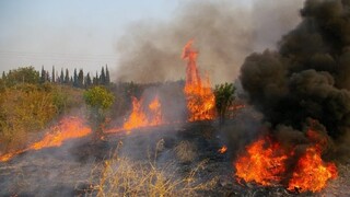 Φωτιά στη Νεμέα Κορινθίας: Επιχειρούν ισχυρές δυνάμεις 