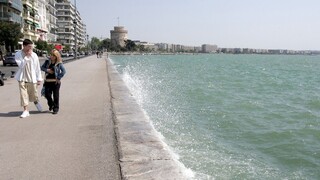 Θεσσαλονίκη: «Πήδημα θανάτου» για δεκάδες σαρδέλες στην παραλία 