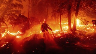 «Σαρώνουν» οι πυρκαγιές στην Καλιφόρνια - Στάχτη πάνω από δύο εκατ. στρέμματα