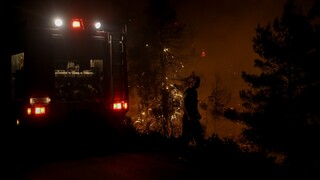 Νύχτα αγωνίας με τη φωτιά στη Ζάκυνθο - Καλύτερη η εικόνα στην Ηλεία