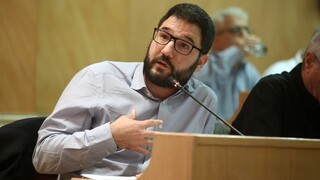 Ν. Ηλιόπουλος: Η ΝΔ βρίσκεται σε πανικό μετά την ιστορική απόφαση για τη Χρυσή Αυγή