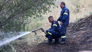 Φωτιά: Σε εξέλιξη πυρκαγιά στην Κερατέα - Συναγερμός στην Πυροσβεστική