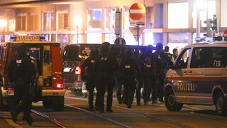 Νύχτα τρόμου στη Βιέννη - «Πολλοί νεκροί» μετά από συντονισμένες επιθέσεις – Κυνήγι για τους δράστες
