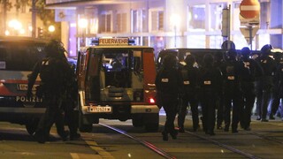 Η Ευρωπαϊκή Ένωση καταδικάζει την επίθεση στην Βιέννη