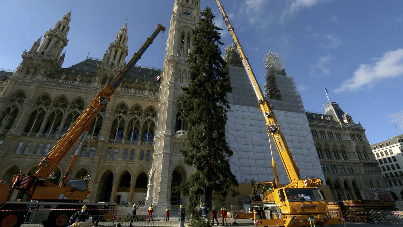 Αυστρία: Δύο τεράστια χριστουγεννιάτικα δέντρα θα προσπαθήσουν να φέρουν ελπίδα στους Βιεννέζους