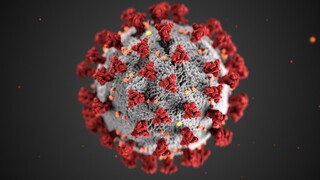 Κορωνοϊός - Νέα έρευνα: Τα λεμφοκύτταρα μπορεί να επαρκούν για την προστασία από τον ιό