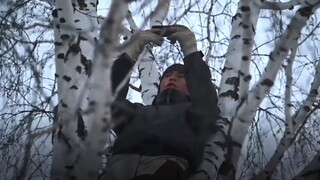 Σιβηρία: Μαθητής αναγκάζεται σκαρφαλώνει σε δέντρα για να βρει λίγο Internet