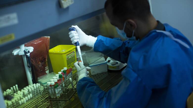 Ανακαλύφθηκαν ιοί συγγενικοί του νέου κορωνοϊού για πρώτη φορά εκτός Κίνας
