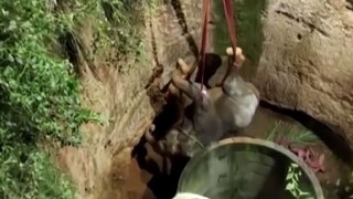 Καρέ - καρέ η επιχείρηση 12 ωρών για τη διάσωση ελέφαντα που έπεσε σε πηγάδι
