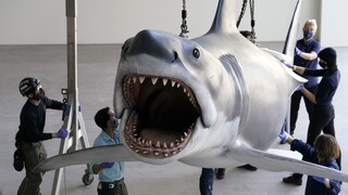 Στα σαγόνια του καρχαρία: Ο Μπρους βρίσκει τη θέση του στο Μουσείο των Όσκαρ (pics)